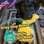 PeppyPawz No Stuffing Plush Squeaky Duck Toy