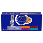 Purina ONE Mini Fillets Wet Cat Food, 2 Pack