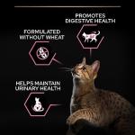 PRO PLAN Chicken Dry Cat Food for Sensitive Stomachs
