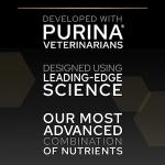 PRO PLAN Chicken Dry Cat Food for Sensitive Stomachs
