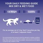 Purina ONE Mini Fillets Wet Cat Food, 2 Pack