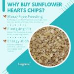 Sunflower Heart Chips Wild Bird Food - 25.1kg