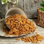 Dried Calciworms Bird Food 5L Refill Bag