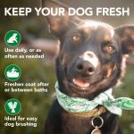 Vet's Best Dog Conditioner & Itch Relief Spray