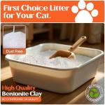 BioKitty Clumping Cat Litter, 10L Unscented Formula