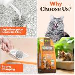BioKitty Clumping Cat Litter, 10L Unscented Formula
