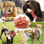 Indestructible Bacon-Flavored Dog Toys for Aggressive Chewers