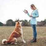 Squeaky Plush Dog Toy Pack for Puppies