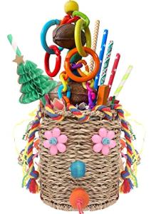 Colorful Seagrass Foraging Basket Bird Toy