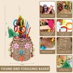 Colorful Seagrass Foraging Basket Bird Toy