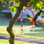 Colorful Bird Swing with Perch and Bell