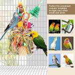 Colorful Seagrass Foraging Basket Bird Toy