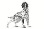 Royal Canin Low Fat Gastro-Intestinal Dog Food