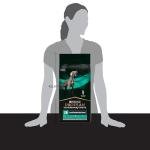 Pro Plan Veterinary Diets EN Gastrointestinal Dog Food 12kg