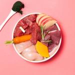 Primal High Protein Grain-Free Dog Food, Wild Boar