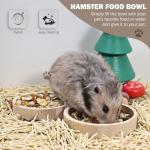 Wooden Food Bowls for Small Pets - 2 Pack