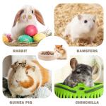 Wooden Food Bowls for Small Pets - 2 Pack