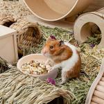 Wooden Food Bowls for Small Pets - 2 Pack