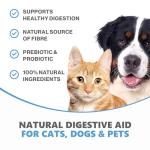 Natural Digestive Prebiotic Probiotic for Pets