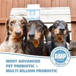 Natural Digestive Prebiotic Probiotic for Pets