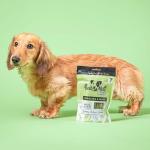 Superfood Dental Sticks for Dogs - Spirulina & Mint