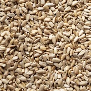 Premium 20kg Sunflower Hearts for Wild Birds