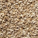 Premium 20kg Sunflower Hearts for Wild Birds