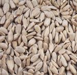 Quality Sunflower Hearts for Wild Birds - 12.5 kg