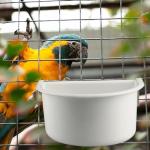 Luckious 2-Pack Hanging Bird Food Cups