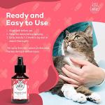 Catly Cat Care Spray for Wound Healing