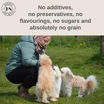 Grain Free Dog Training Treats - 1000 Count