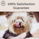 Grain Free Dog Training Treats - 1000 Count