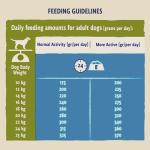 Beta Adult Dry Dog Food with Turkey & Lamb