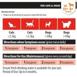 VetIQ Urinary Care Paste with Cranberry for Pets