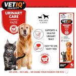 VetIQ Urinary Care Paste with Cranberry for Pets