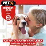 VetIQ Urinary Care Paste with Cranberry for Pets