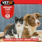 VetIQ Urinary Care Paste with Cranberry for Pets
