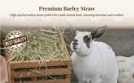 Caliko Barley Straw Bedding for Pets - 2kg