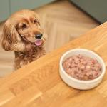 Lily's Kitchen Weekend Favourites Wet Dog Food Pack