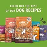 Lily's Kitchen Weekend Favourites Wet Dog Food Pack