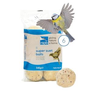 High-Energy Suet Balls for Wild Birds - Pack of 6