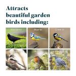 High-Energy Suet Balls for Wild Birds - Pack of 6