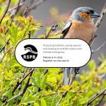 High-Energy Suet Balls for Wild Birds - Pack of 6