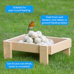High-Energy Suet Balls for Wild Birds - Pack of 6
