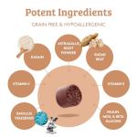 OMNI Daily Probiotic Chews for Dog Digestive Health