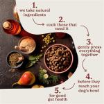 Forthglade Cold Pressed Dry Dog Food for Puppies