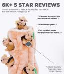 Outward Hound Plush Dog Toy Puzzle - Squirrel