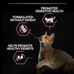 Pro Plan Turkey Cat Food for Sensitive Stomachs
