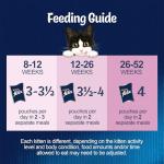 Felix Mixed Jelly Wet Cat Food for Kittens