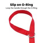 6 Foot Slip Leads for Dogs - 6 Pack